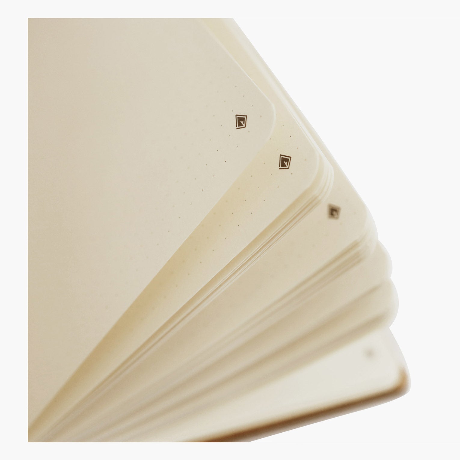 Bugs maple wooden notebook